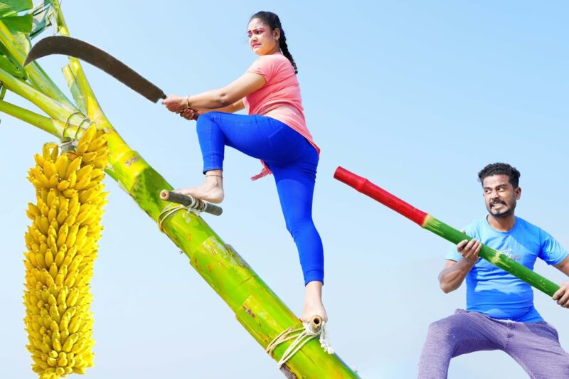 Trending Very Special Funny Comedy Video 😂Amazing Comedy Video 2026 Episode 369 Busy Fun Ltd